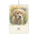 Suche nach goldener welpe Hund