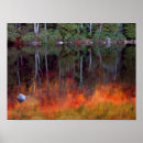 Suche nach insel poster Baum