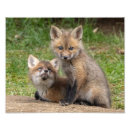 Suche nach geschwister liebe poster Natur