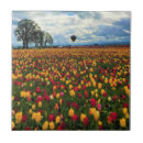 Suche nach tulip fliesen Blume