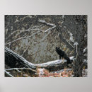 Suche nach wild lebende tiere poster Tierplakate