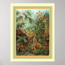 Suche nach kunstformen der natur poster Ernst