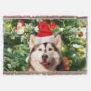 Suche nach husky decken Weihnachten