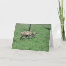 Suche nach karibik karten Landschaft