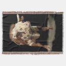 Suche nach stiere decken Bulle