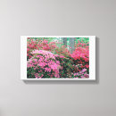 Suche nach azalee leinwandbilder Blume