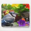 Suche nach blaues blumen mousepads Vogel