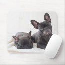 Suche nach franziskaner mousepads Niedliche tiere