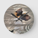 Suche nach der adler wanduhren Adler und ozean