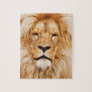 Suche nach face puzzle Katze