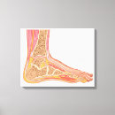 Suche nach menschlicher fuß leinwandbilder Horizontal