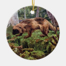 Suche nach vielfrass Natur