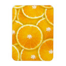 Suche nach zitrusfrucht magnete Foto