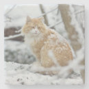 Suche nach tiger untersetzer Winter