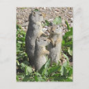 Suche nach ground poster Nationalpark