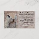 Suche nach eichhörnchen visitenkarten Nagetier