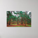 Suche nach herbstwald leinwandbilder Bäume