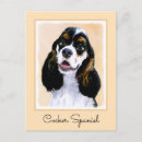 Suche nach cocker postkarten Amerikanischer cocker spaniel