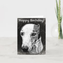 Suche nach whippet geburtstag karten Niedlich