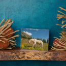 Suche nach sommer fotoplatten Wiese