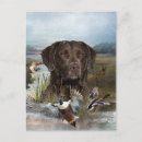 Suche nach retriever postkarten Retriefe