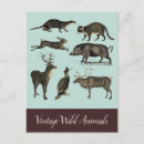 Suche nach elch vintage postkarten Tiere