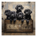 Suche nach labrador retriever poster Haustier