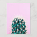Suche nach prickley poster Wüste