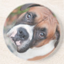 Suche nach boxerhund untersetzer Haustier