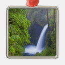 Suche nach usa ornamente Oregon