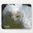 Suche nach schneeeule mousepads Bubus scandiacus