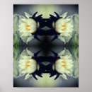 Suche nach lotus kunst poster Natur
