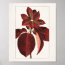 Suche nach prunus poster Vintag