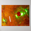 Suche nach neongrün poster Orange