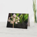 Suche nach macro karten Makro