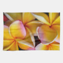 Suche nach frangipani geschirr tücher Hawaii