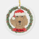 Suche nach irish ornamente Grün