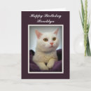 Suche nach alles gute zum geburtstag katze Haustier