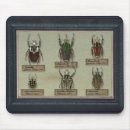 Suche nach insekten mousepads Käfer