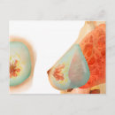 Suche nach menschliche haut poster Medizin