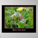 Suche nach schnecke poster Blume