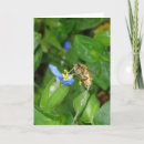 Suche nach honig karten Blume