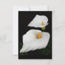 Suche nach kontraste postkarten Floral