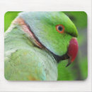 Suche nach papageien mousepads Parakeet