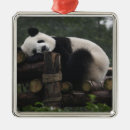Suche nach bambus ornamente Urlaub