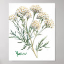 Suche nach antike botanische illustration poster Wandkunst