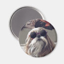 Suche nach langer magnete Cool