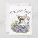 Suche nach chihuahua kleine grußkarten Hund