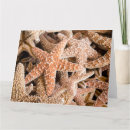 Suche nach starfish karten Meeresleben
