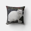 Suche nach graben sie aus kissen Friedhof